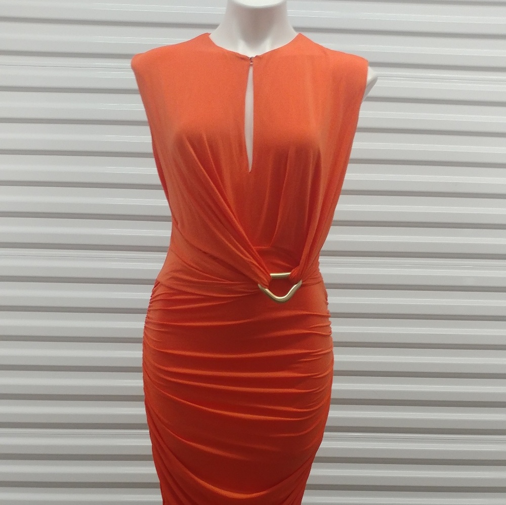 Halston Heritage Dress From Bloomingdales